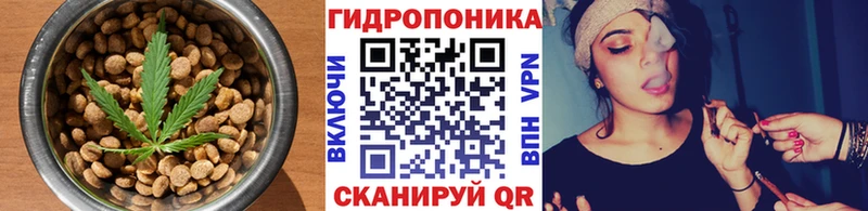 Cannafood марихуана Котельники