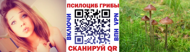 Псилоцибиновые грибы прущие грибы  Котельники 